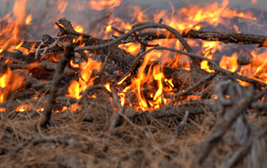 https://www.whistlerdailypost.com/wp-content/uploads/2023/05/wildfire-540x341.png