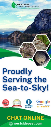 wetside-seatosky.jpg