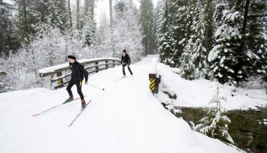 https://www.whistlerdailypost.com/wp-content/uploads/2024/01/Kids-on-Lost-Lake-540x311.jpg